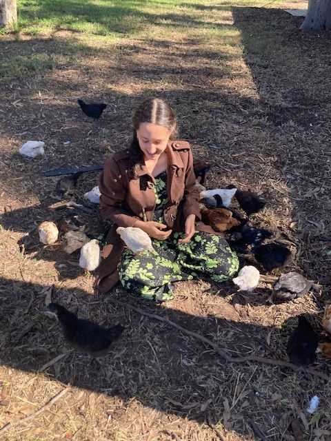Sitting with our hand-raised chooks in the yard